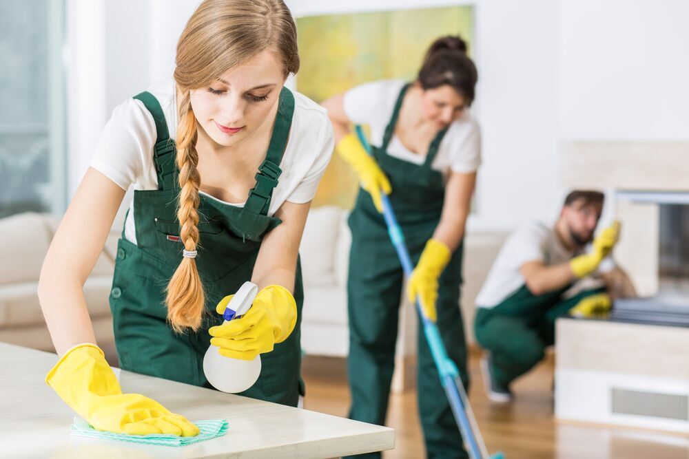 Significance of Diverse Maid Services Categories
